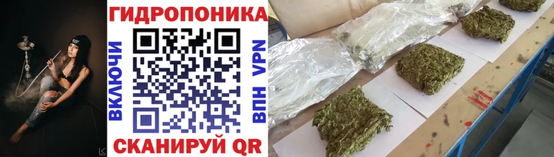 Где купить Новая Ладога Кокаин  Мефедрон  СОЛЬ  Конопля 