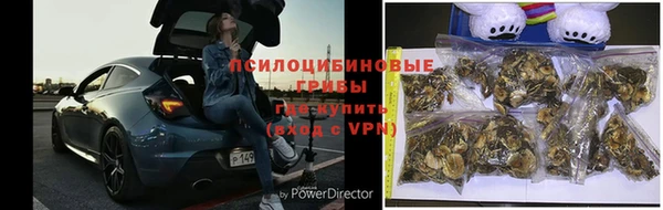 ПСИЛОЦИБИНОВЫЕ ГРИБЫ Аркадак