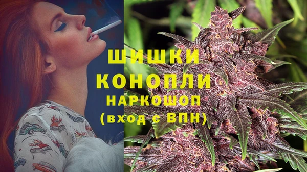 ПСИЛОЦИБИНОВЫЕ ГРИБЫ Аркадак